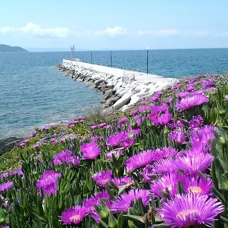 Welcome To ,,petunia,, In Neos-marmaras,xalkidiki ,greece,in Para18dise 2* Neos Marmaras